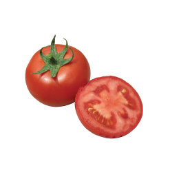 Tomato (F1 Hybrid)