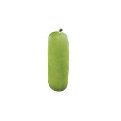 Bottle Gourd
