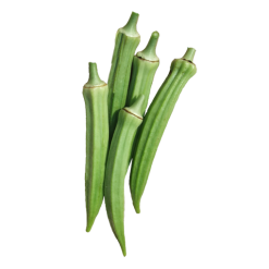 Okra