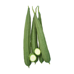 Luffa