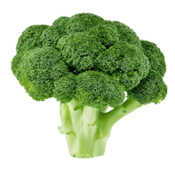 Broccoli